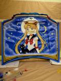 Car hood – Sailor Moon