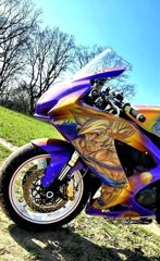 Suzuki GSX‑R – Dragon Ball – custom work by custom-art.pl